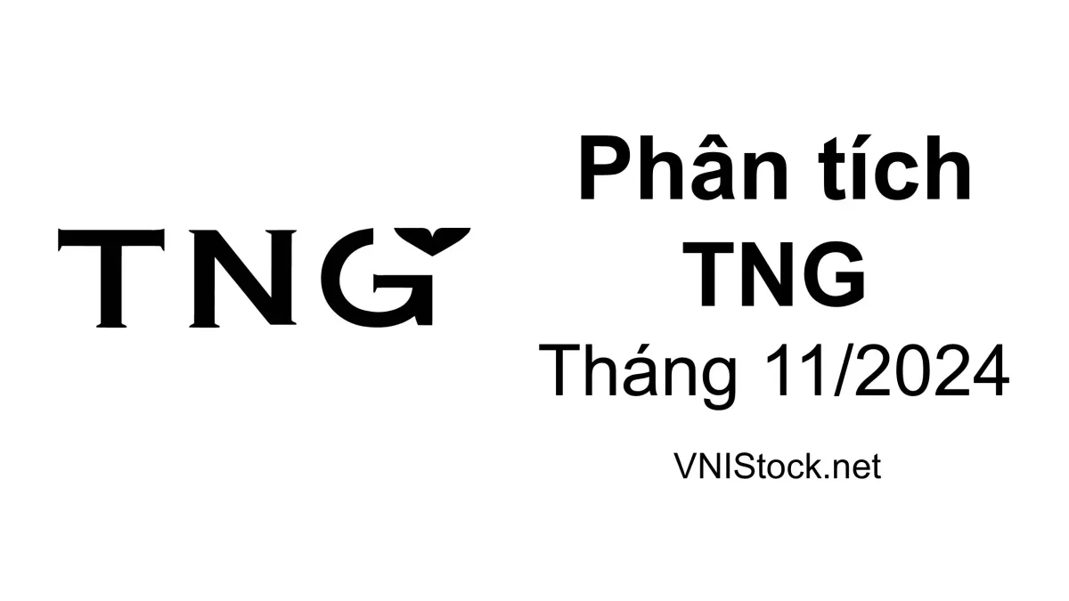 Phân tích cổ phiếu TNG Đầu tư và thương mại TNG, cập nhật kết quả kinh doanh, đại hội cổ đông