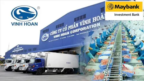 Cập nhật VHC - CTCP Vĩnh Hoàn - Kết quả kinh doanh quý 4/2025