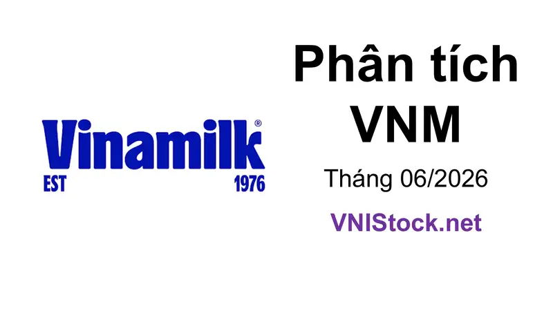 Phân tích VNM - CTCP Sữa Việt Nam