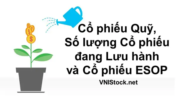 Cổ phiếu quỹ, số lượng cổ phiếu đang lưu hành và cổ phiếu ESOP