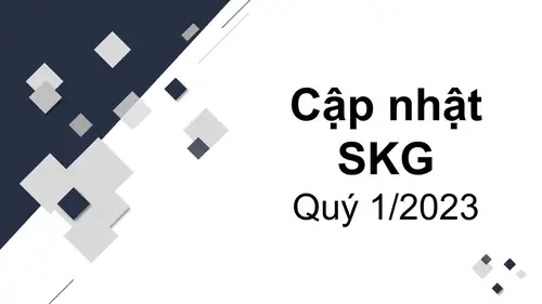 Cập nhật SKG - CTCP Tàu cao tốc Superdong - Kiên Giang - Kết quả kinh doanh Quý 1/2023
