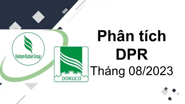 Phân tích DPR - CTCP Cao su Đồng Phú
