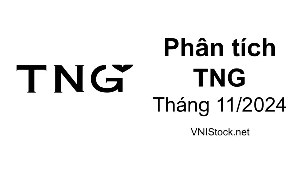 Phân tích cổ phiếu TNG Đầu tư và thương mại TNG, cập nhật kết quả kinh doanh, đại hội cổ đông