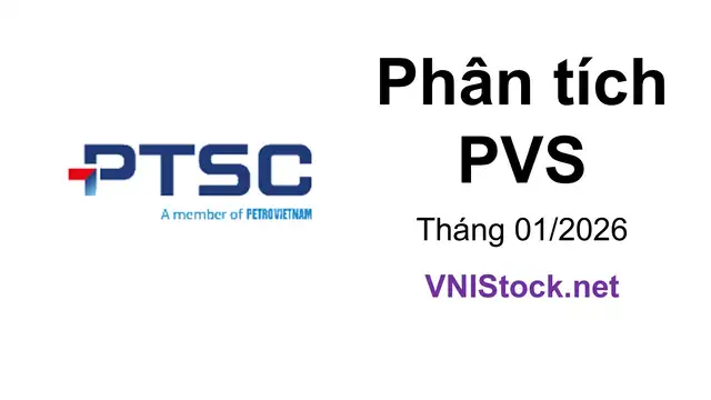 Phân tích PVS - Tổng CTCP Dịch vụ Kỹ thuật Dầu khí Việt Nam tại VNIStock