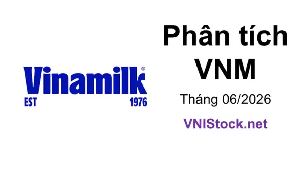 Phân tích VNM - CTCP Sữa Việt Nam