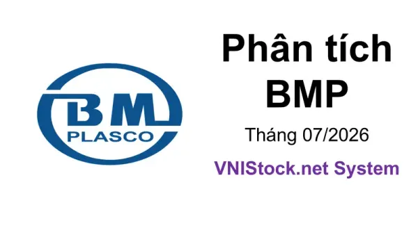 Phân tích BMP - CTCP Nhựa Bình Minh
