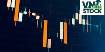 Các dạng đồ thị trong Phân tích kỹ thuật