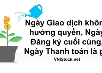 Ngày Giao dịch không hưởng quyền, Ngày Đăng ký cuối cùng, Ngày Thanh toán là gì?