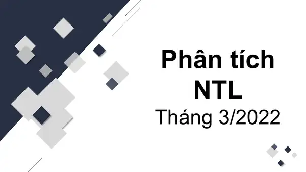 Bài viết về Phân tích cổ phiếu NTL - Nhà Từ Liêm tại VNIStock