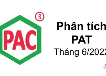Phân tích PAT – CTCP Photpho Apatit Việt Nam