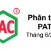 Phân tích PAT – CTCP Photpho Apatit Việt Nam