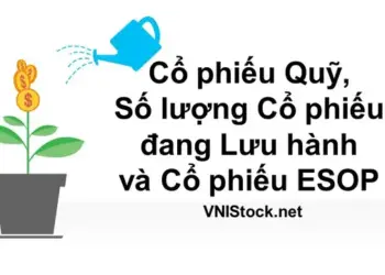 Cổ phiếu quỹ, số lượng cổ phiếu đang lưu hành và cổ phiếu ESOP