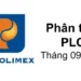 Phân tích PLC - Tổng Công ty Hóa dầu Petrolimex-CTCP
