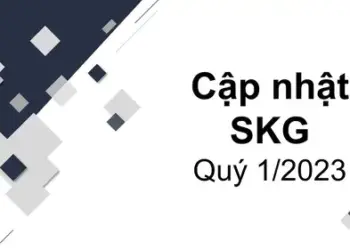 Cập nhật SKG - CTCP Tàu cao tốc Superdong - Kiên Giang - Kết quả kinh doanh Quý 1/2023