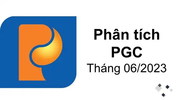 Phân tích PGC 2023 - Tổng Công ty GAS Petrolimex-CTCP tại VNIStock