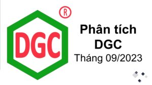 Logo Đức Giang màu đỏ trong ô lục giác màu xanh của Phân tích Công ty Hóa Chất Đức Giang