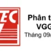 Phân tích VGG - TCTCP May Việt Tiến