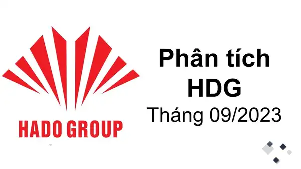 Bài viết phân tích HDG 2023 - CTCP Tập đoàn Hà Đô tại VNIStock