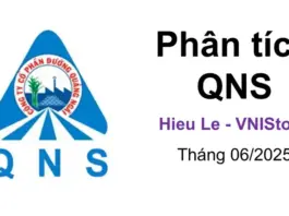 Phân tích QNS 2025 - Công ty Cổ phần Đường Quảng Ngãi tại VNIStock