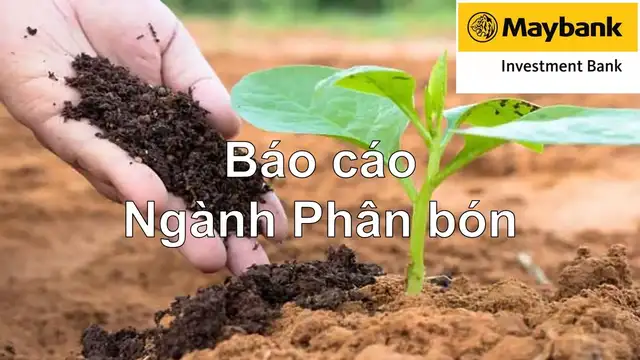 Báo cáo cập nhật Ngành Phân bón ngày 16/06/2025 của MSVN