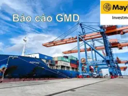Báo cáo cập nhật GMD ngày 16/06/2025 của MSVN đăng tại VNIStock