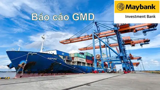 Báo cáo cập nhật GMD ngày 16/06/2025 của MSVN đăng tại VNIStock