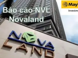Báo cáo cập nhật NVL ngày 19/06/2025 của MSVN đăng tại VNIStock