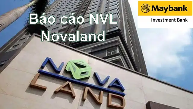 Báo cáo cập nhật NVL ngày 19/06/2025 của MSVN đăng tại VNIStock
