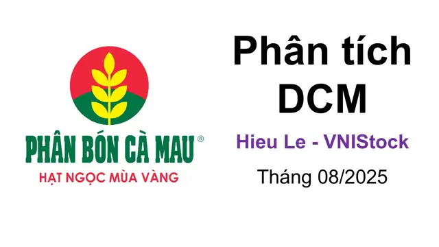 Phân tích DCM 2025 - CTCP Phân bón Dầu khí Cà Mau tại VNIStock