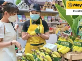 Cập nhật HAG - CTCP Hoàng Anh Gia Lai - thăm thực địa công ty