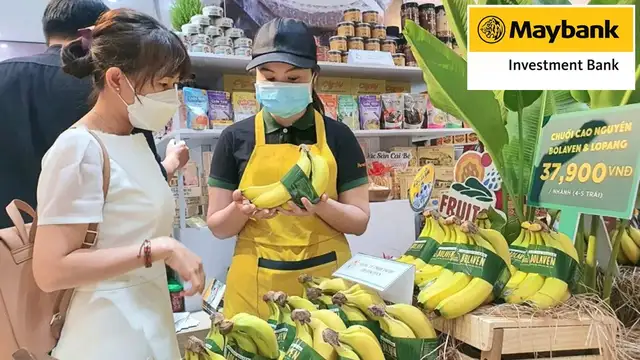 Cập nhật HAG - CTCP Hoàng Anh Gia Lai - thăm thực địa công ty